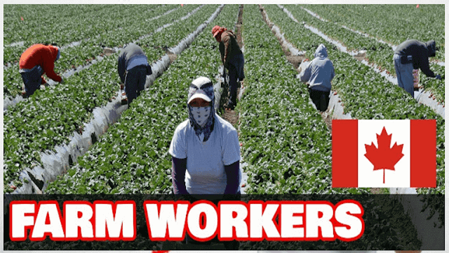 Farm Laborers Needed in Canada